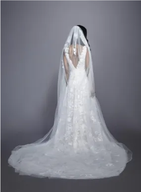Genevieve Veil