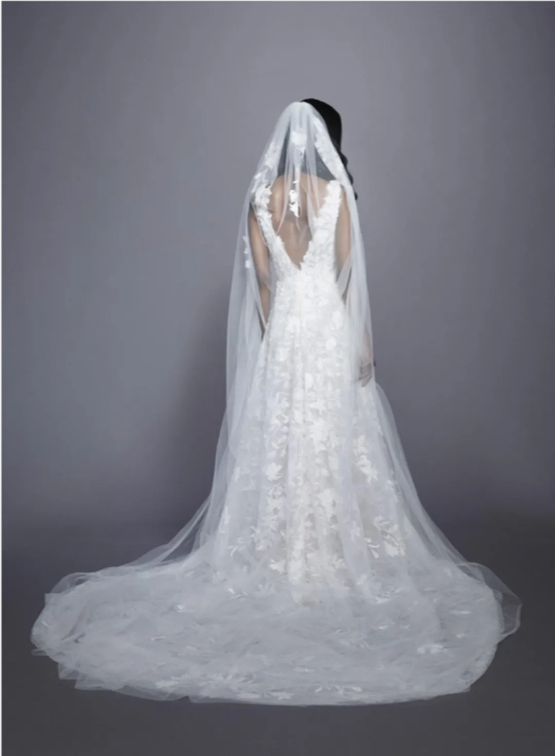Genevieve Veil