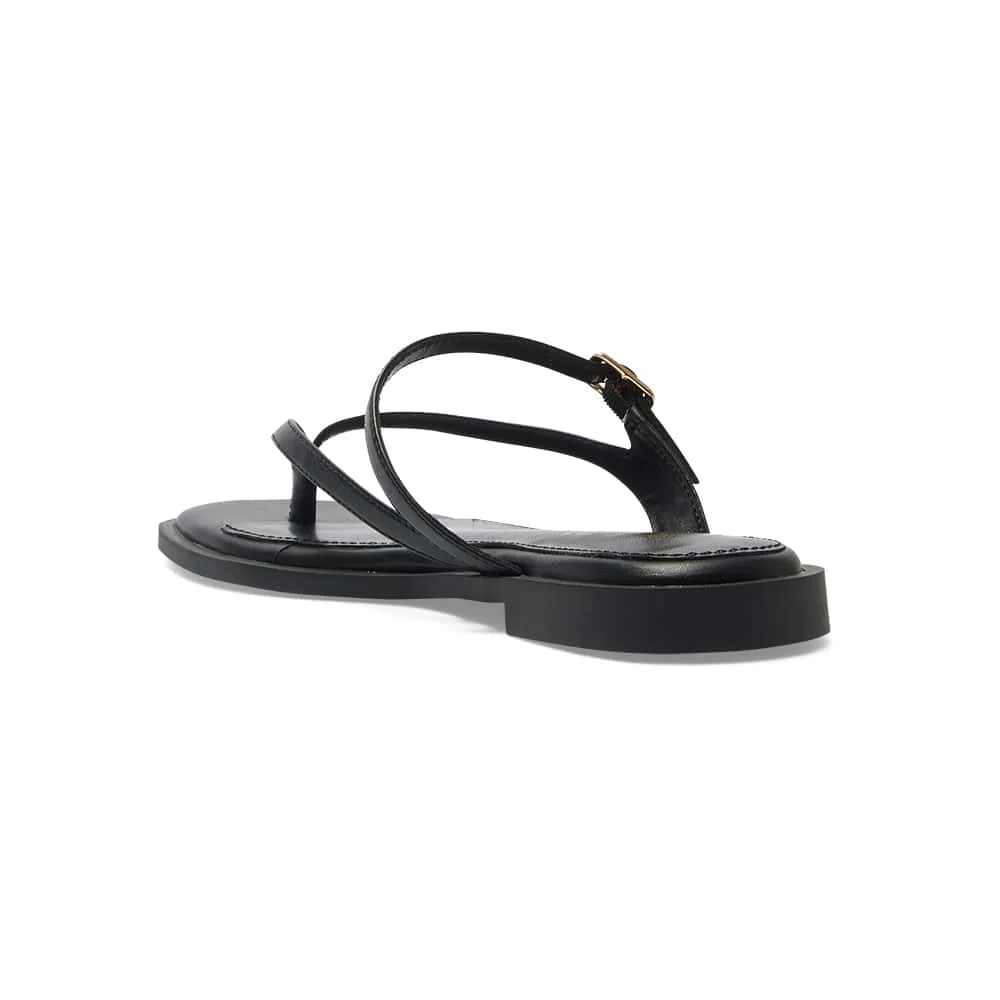 Zen Thongs in Black Smooth