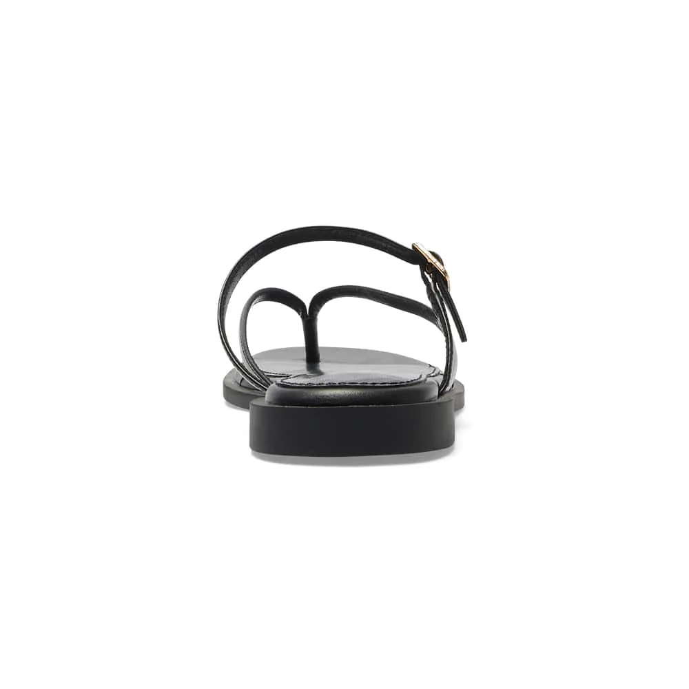 Zen Thongs in Black Smooth